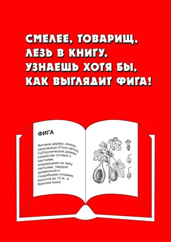 Книги про не знаю. Плакаты о чтении и книге. слоган про книги. лозунг для чтения книг. рекламный слоган для книги.