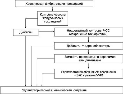 Фибрилляция предсердий клиническая картина. Фибрилляция предсердий механизм развития. Диагноз форма фибрилляции предсердий. Персистирующий фибрилляция предсердий. Фибрилляция предсердий нормосистолическая форма на экг.