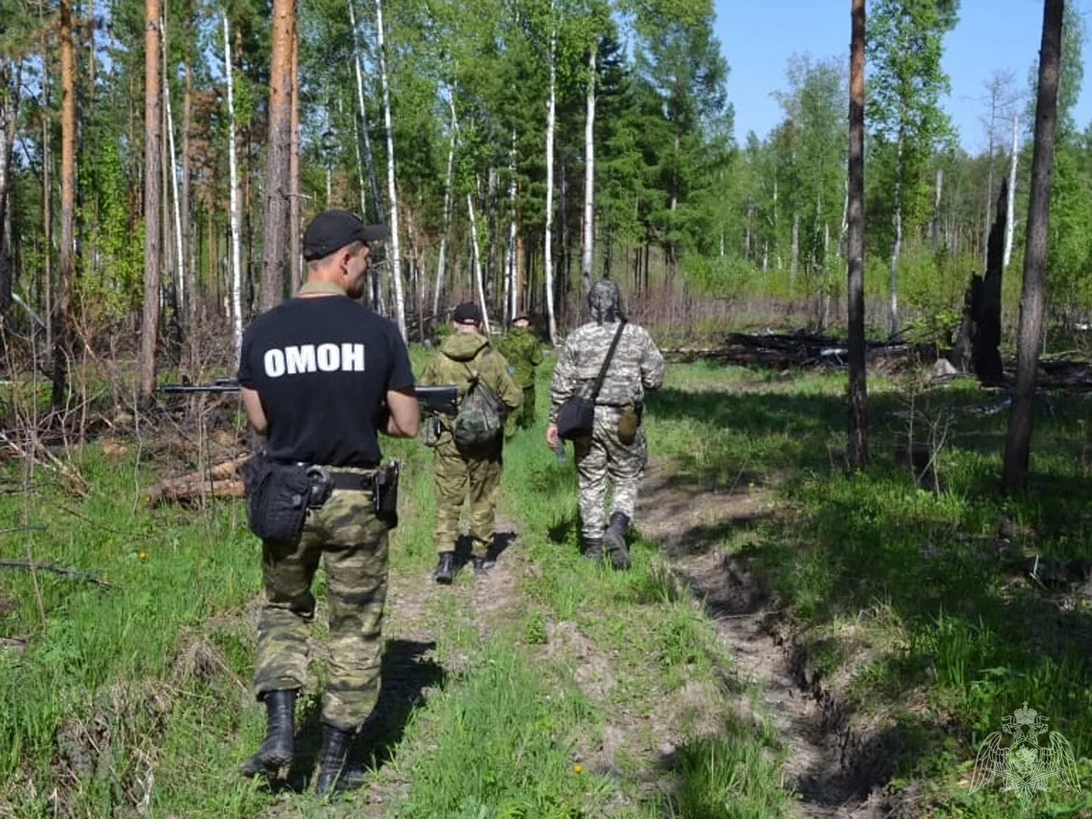 ОМОН В лесу. Омоновцы в лесу. Росгвардия в лесу. Лесной ОМОН. Минприроды нарушения