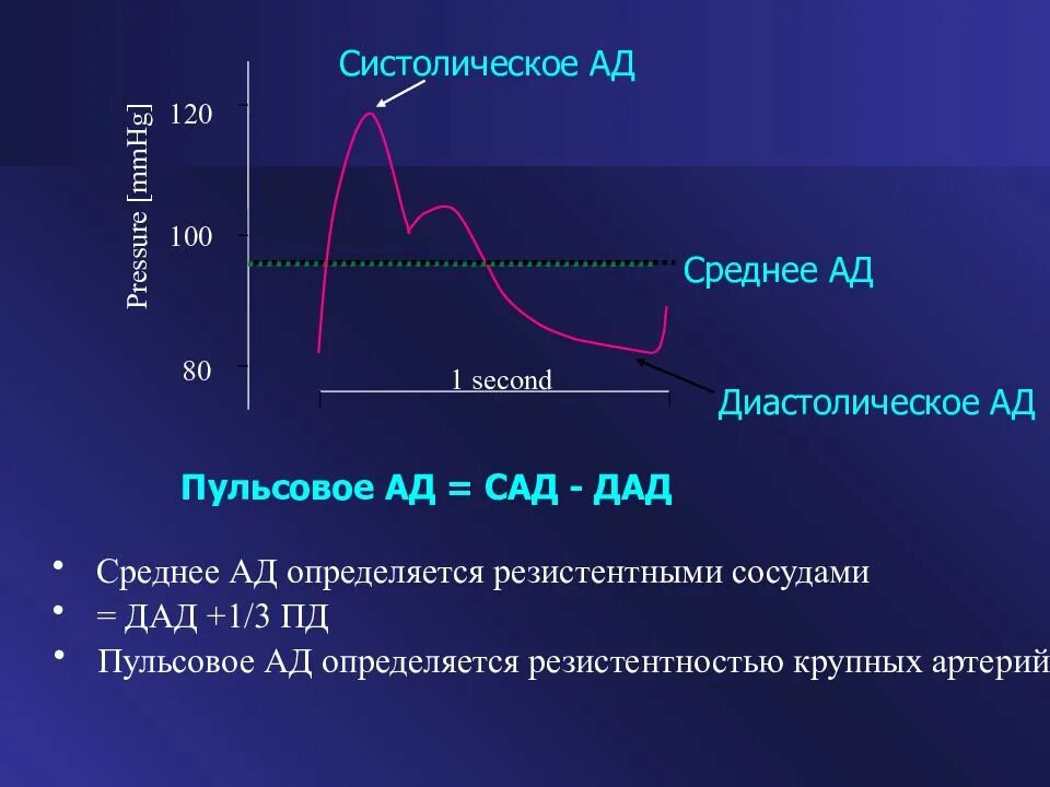 Пульсовое давление. Среднее пульсовое давление. Систолические пульсовые диастолические. Ад систолическое и диастолическое пульсовое. Почему систолическое выше диастолического