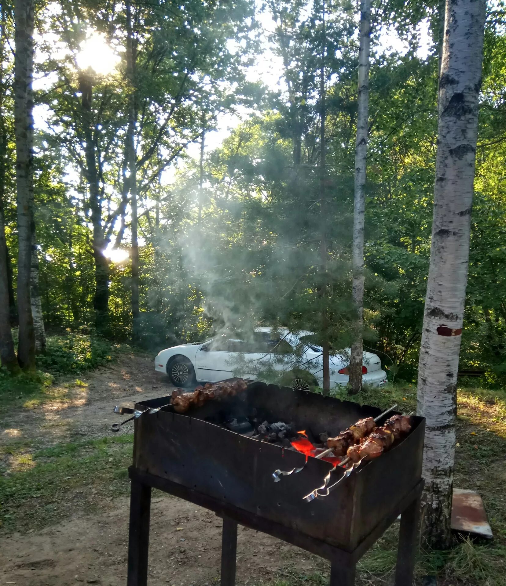 Можно ли шашлык в лесу. Шашлыки на природе. Шашлык на мангале на природе. Мангал на природе. Лето шашлыки природа.