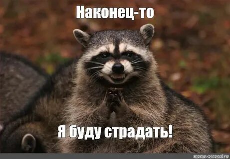 Наконец то я