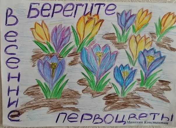 Рисование «первоцветы Крыма». Первоцветы рисунок для детей. Первоцветы глазами детей. Детские рисунки первоцветы. Первоцвет конкурс 2024 дагестан