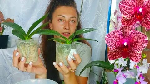 Цветок сайт екатеринбург