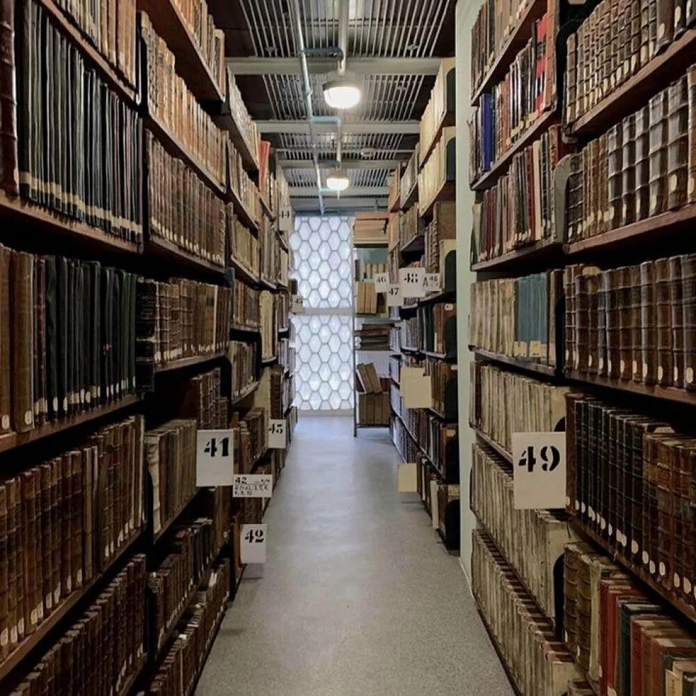 любимые книги детства.