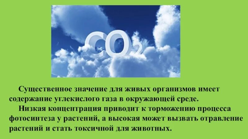 Окружающее значить. Роль углекислого газа в природе. Значение для организма углекислого газа. Роль углекислого газа в окружающей среде. Углекислый ГАЗ роль в природе.