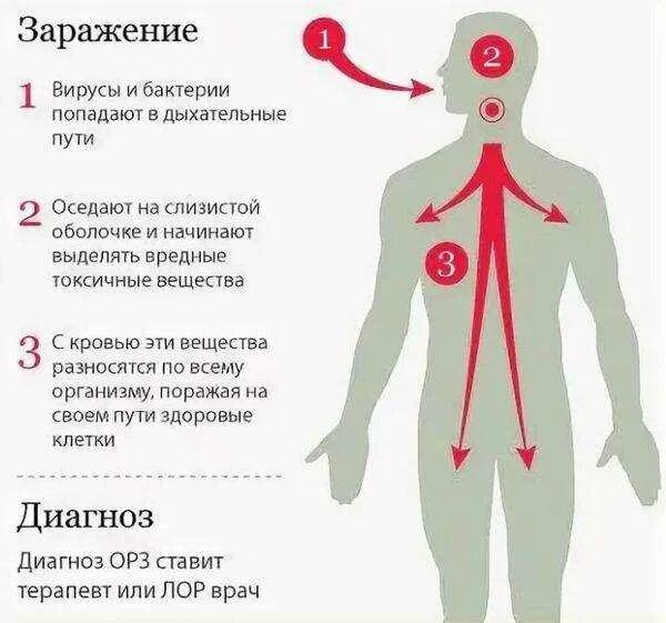 Способы заражения острые респираторные вирусные инфекции. Пути заражения ОРВИ У детей. Грипп ОРЗ пути заражения. Пути передачи респираторной вирусной инфекции