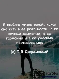 Жизнь такая какая есть глава