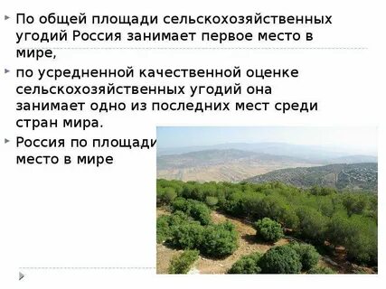 Сельское хозяйство территории страны