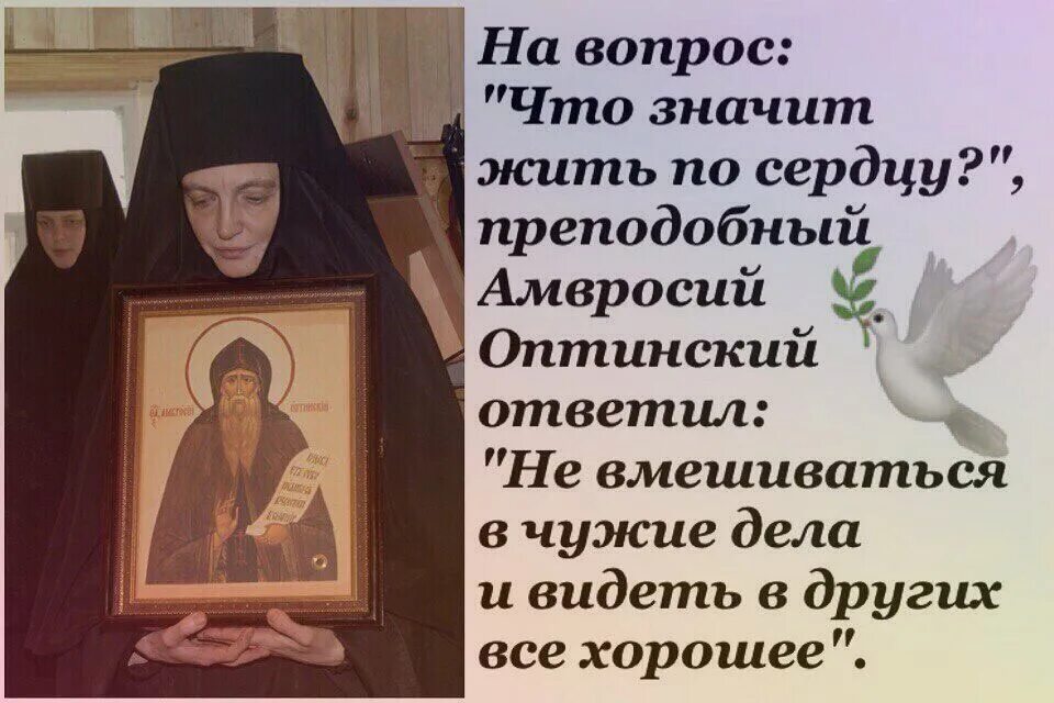 Нам жить не тужить по совести. Никому не досаждать никого не осуждать и наше. Никому не досаждать и наше вам почтение.