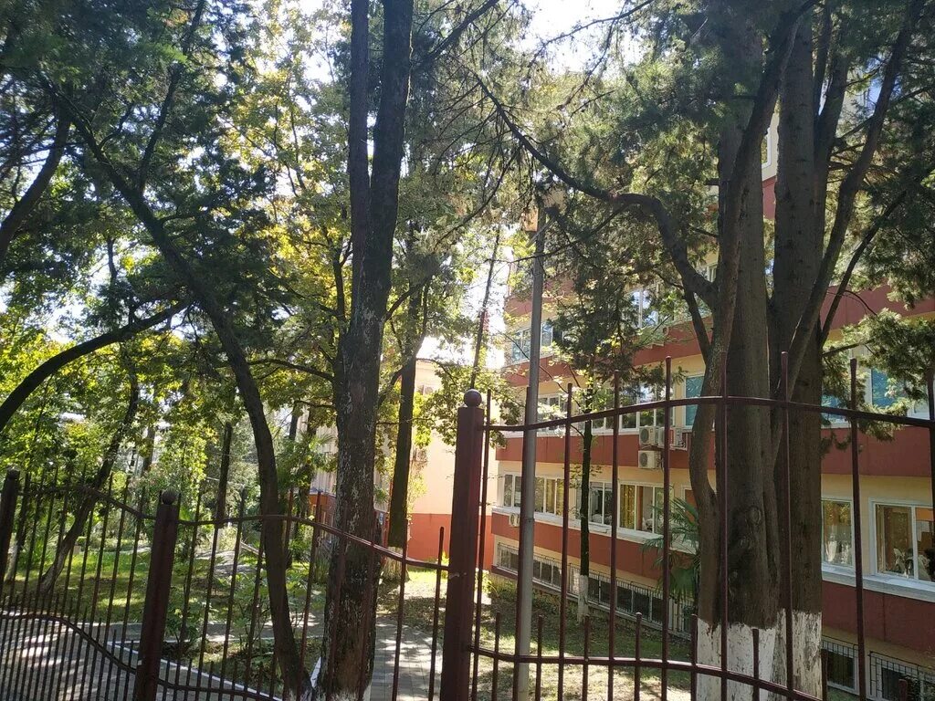 школа 9 сочи. школа 10 сочи. школа номер 13 сочи. школа 5 города сочи. школа 13 сочи.