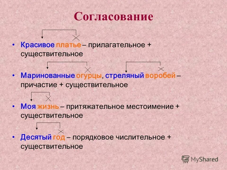 Согласование числительных с существительными логопедия. Согласование числительного с существительным для дошкольников. Согласование существительных с числительными. Согласование существительных и числительных для дошкольников. Числительное с существительным согласование.