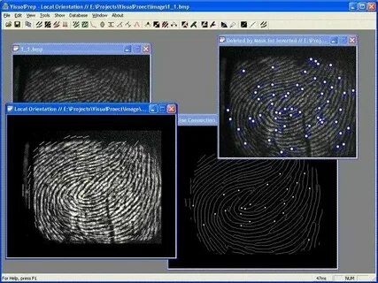 Error invalid description sdk fingerprint is incorrect