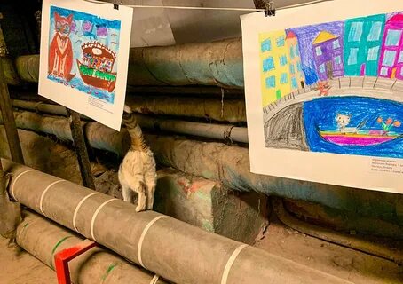 Коты эрмитажа рисунок на конкурс