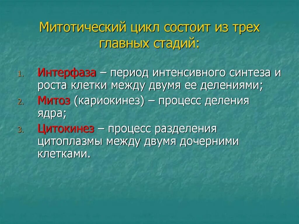 Большие циклы состоят из. Митотический цикл. Митотический цикл состоит из. Митотический цикл клетки состоит из. Из чего состоит митотический цикл.