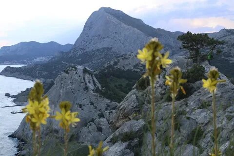 Сегодня день крыма