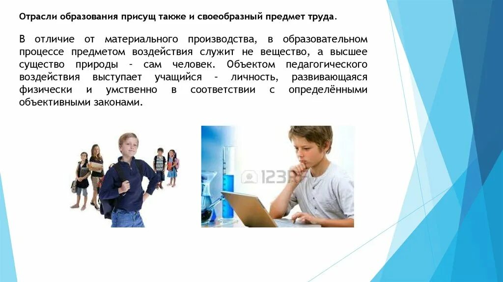 Отрасли а также будет. Отрасли образования. Специфика отрасли образования. Образовательная отрасль. Предмет труда в образовательном процессе это.