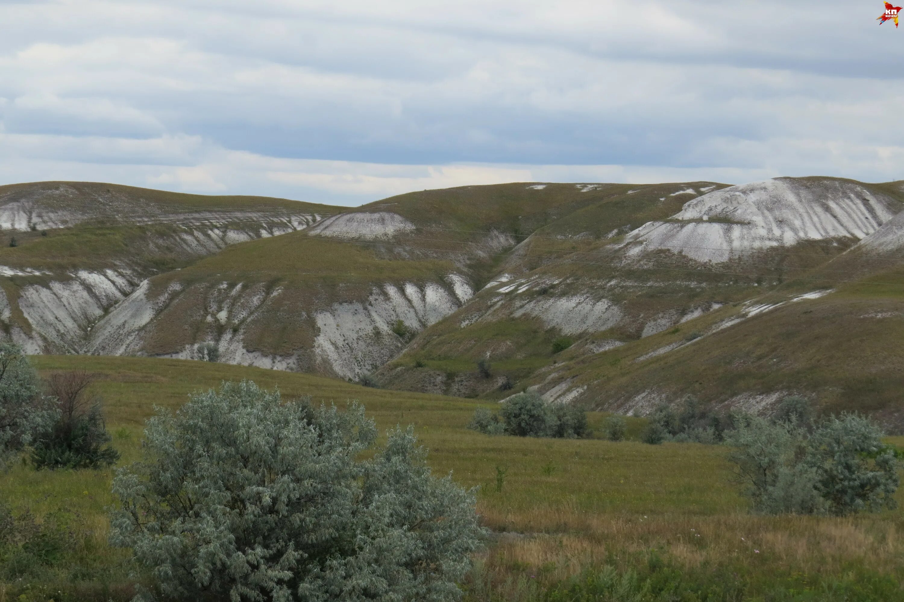 Ульяновск природа сенгилеевские горы. Сенгилеевские горы ульяновская. Национальный парк сенгилеевские горы ульяновск. Заповедник сенгилеевские горы ульяновской области. Национального парка «сенгилеевские горы».