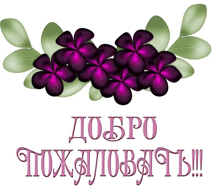 Добро пожаловать картинки. Добро пожаловать!. Открытка добро пожаловать в группу. Картинка добро пожаловать. Добро пожаловать открытка.