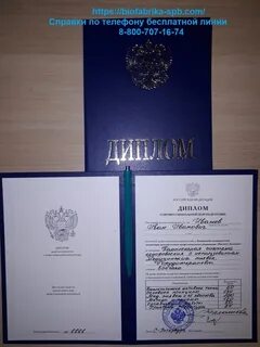 Дистанционное высшее образование с дипломом государственного образца