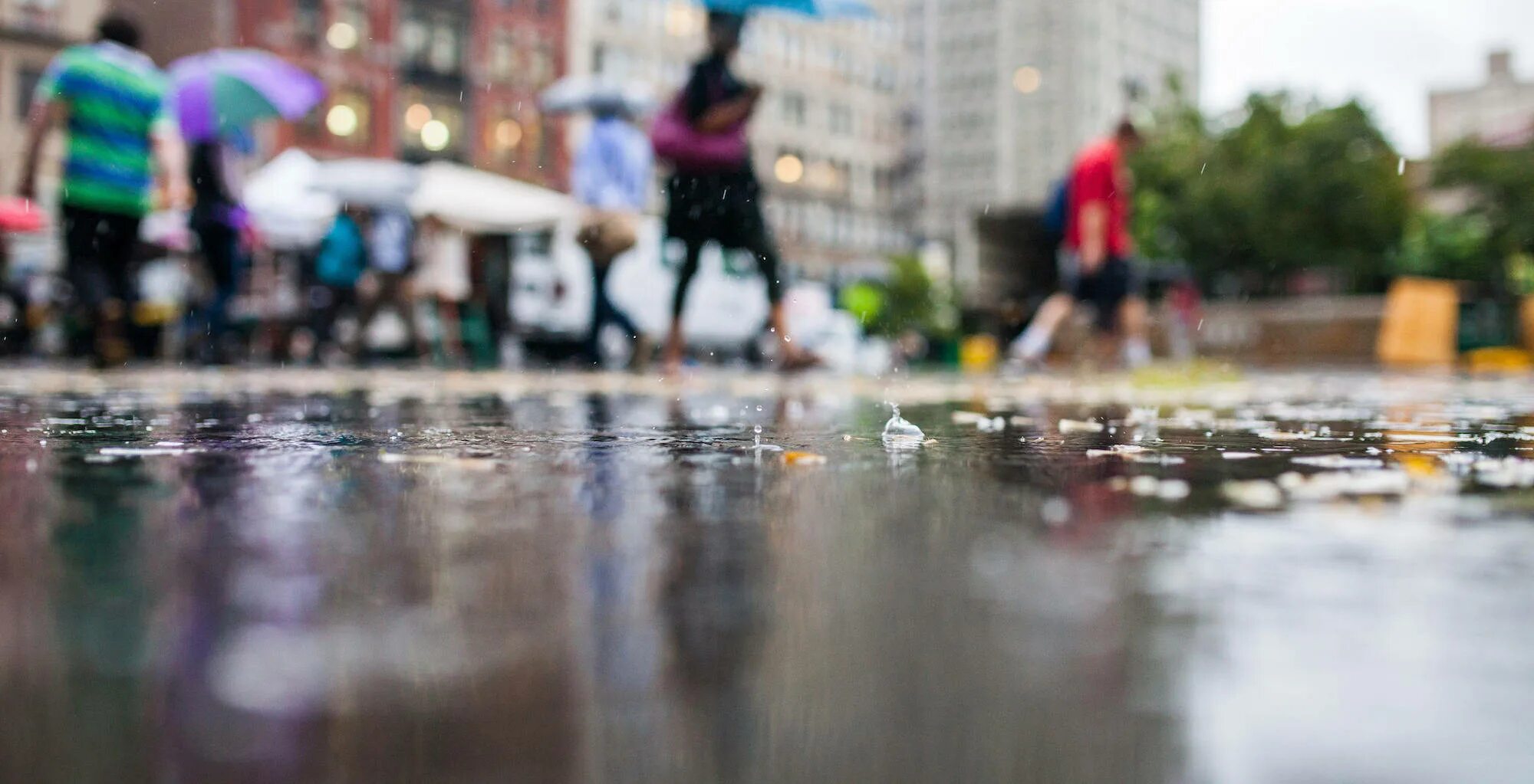 сильный ливень. сильный дождь. ливневые дожди. идут непрекращающиеся дожди. плохая погода.