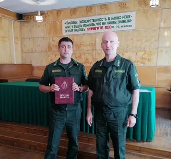 График работы лесничества