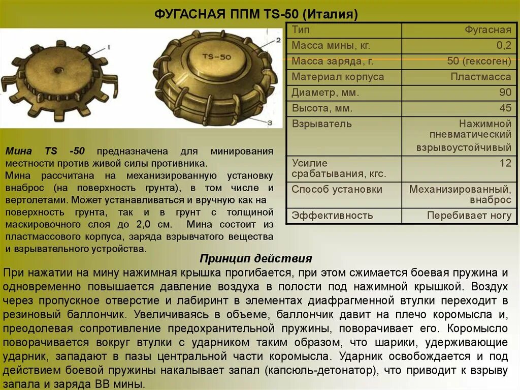 Мина TS-50. Противотанковое мина TTS 50. TS-50 ТТХ мина. Итальянская противопехотная мина TS 50. Действие противопехотной мины