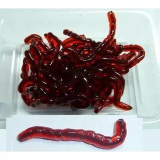 Искусственный мотыль