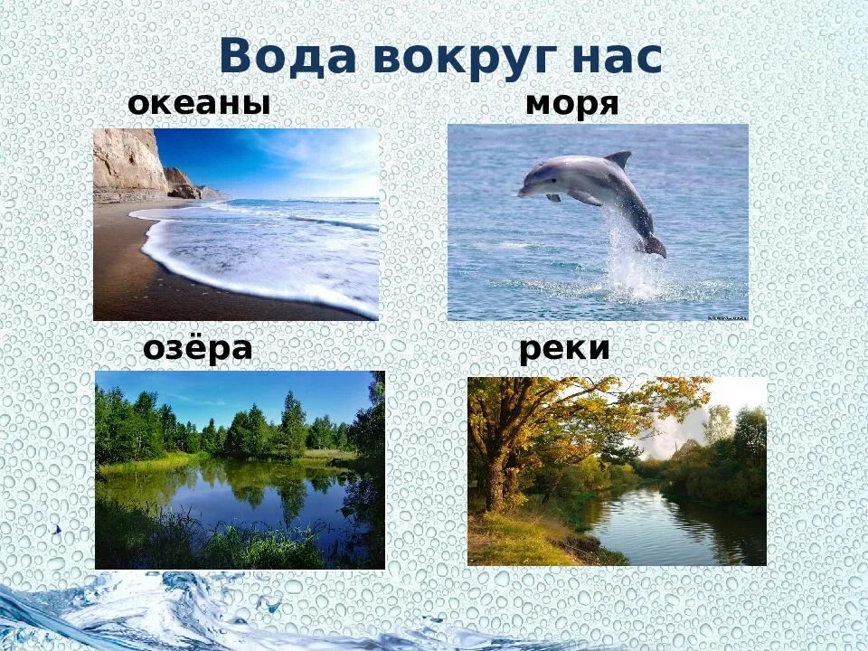 Тема недели вода вокруг нас. Вода вокруг нас. «Вода вокруг нас» презентация. Реки озера моря океаны. Море озеро.