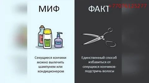 Правда волос
