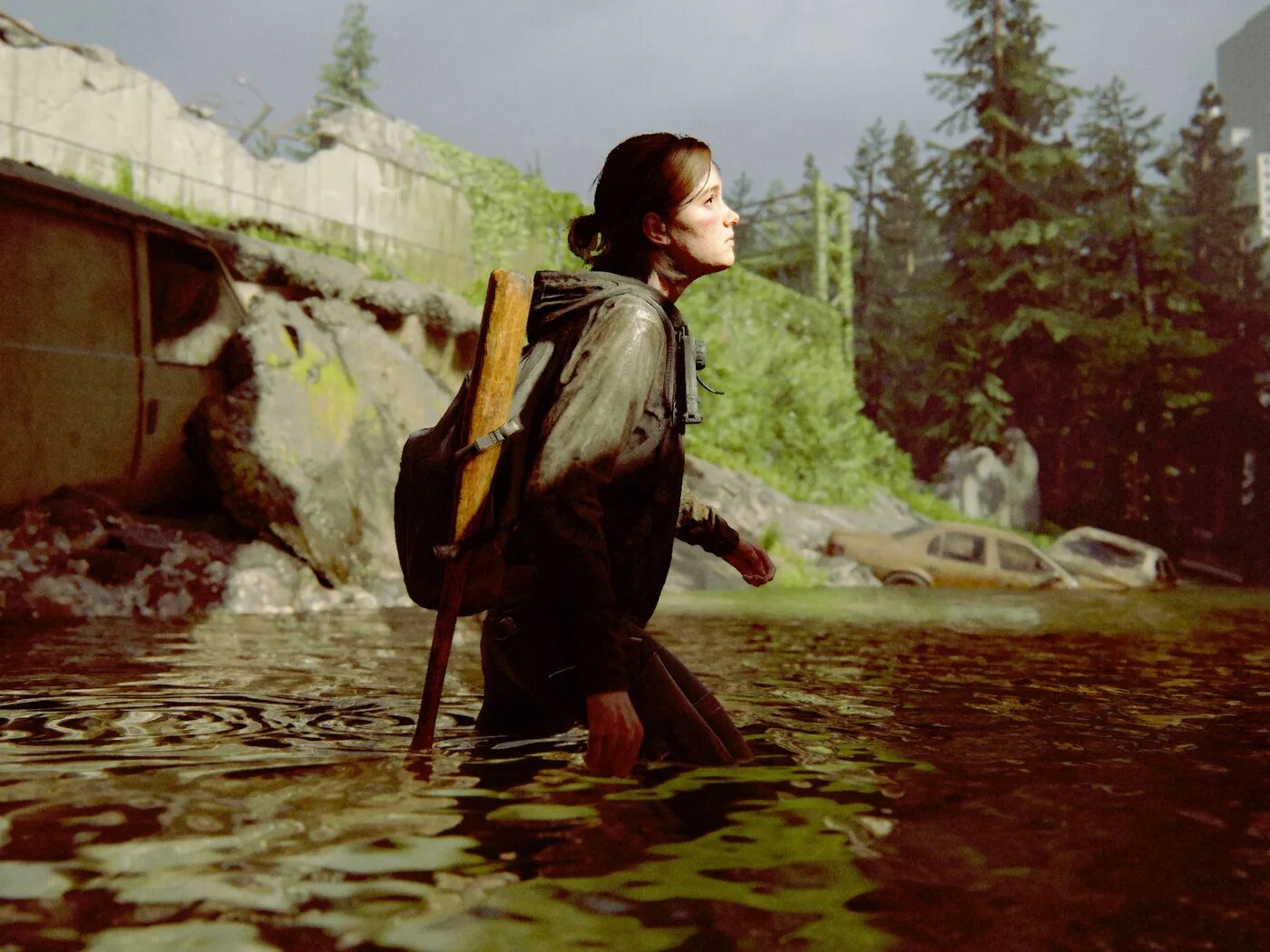 The second part. The last of us 2.