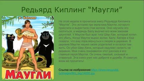 Характеристика маугли