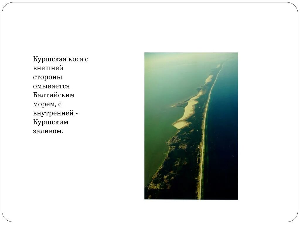 Сообщение про куршскую косу