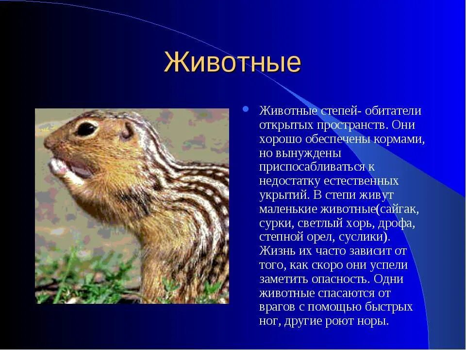 Обитатели зоны степей. Сведения о растениях и животных степи. Степные растения презентация. Растения зоны степей 4 класс. Животные степи.