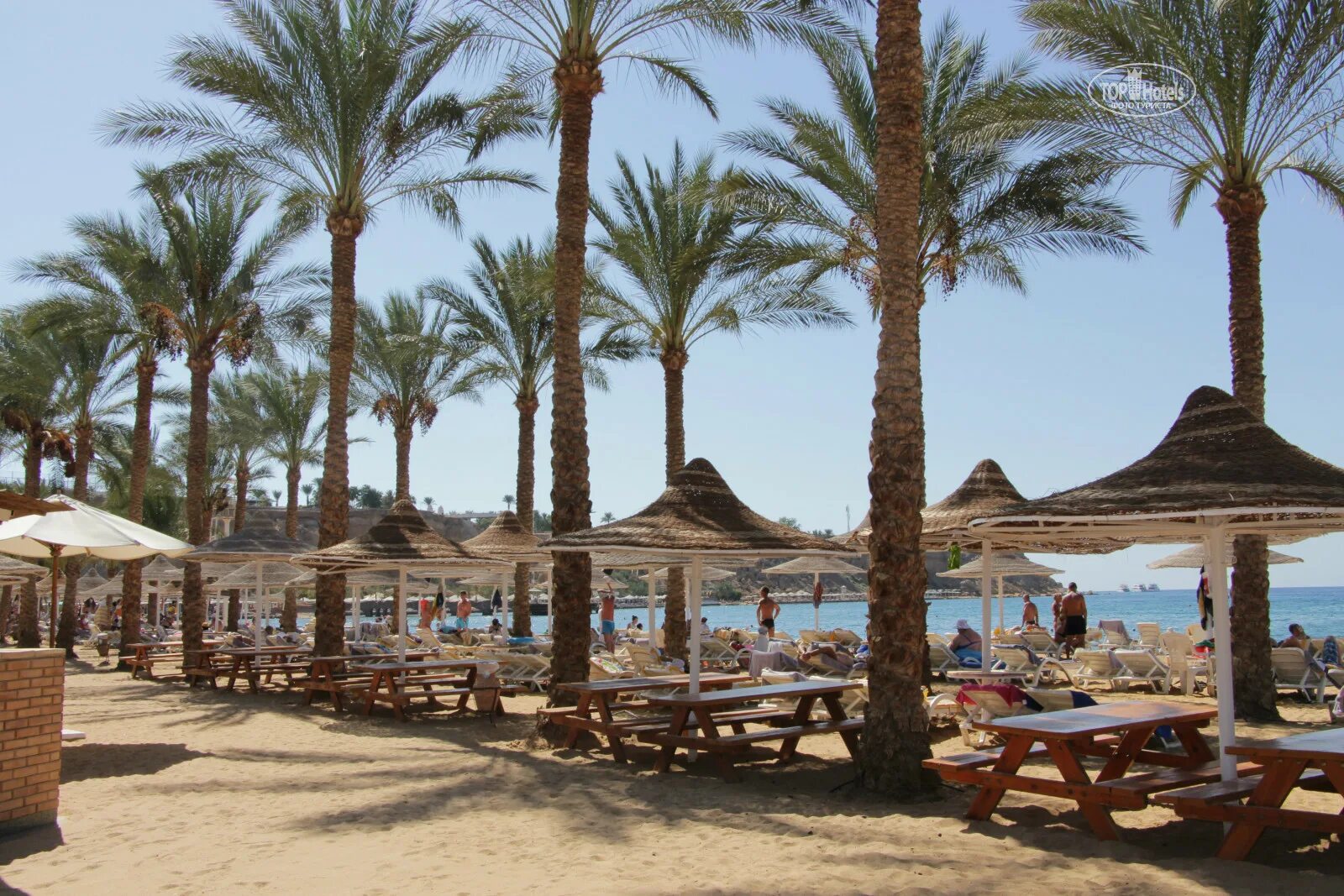 Отель Seti Sharm Шарм-Эль-Шейх. Seti Sharm 4 Шарм-Эль-Шейх. Dessole Seti Sharm Resort 4 Шарм-Эль-Шейх. Дессоле Сити Шарм Шармель Шейх.