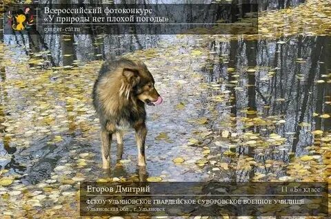 У природы нет плохой автор