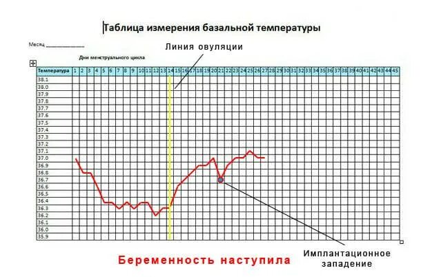 Как измерять базальную температуру для овуляции