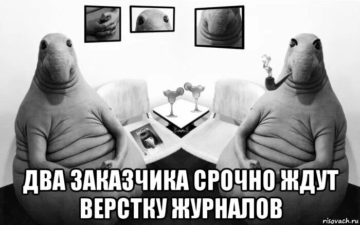 Мужчина ждет что за его будут добиваться. Тоже ждет. У унитазов скоро праздник их новогодний тоже ждет сюрприз. Тоже ждет. Тоже ждет.