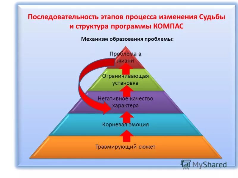 Стадии развития мха. Жизненный цикл покрытосеменных растений схема. Последовательность этапов жизненного цикла папоротникообразных. Последовательность стадий жизненного цикла информационной системы. Последовательность смены стадий в цикле развития мха.