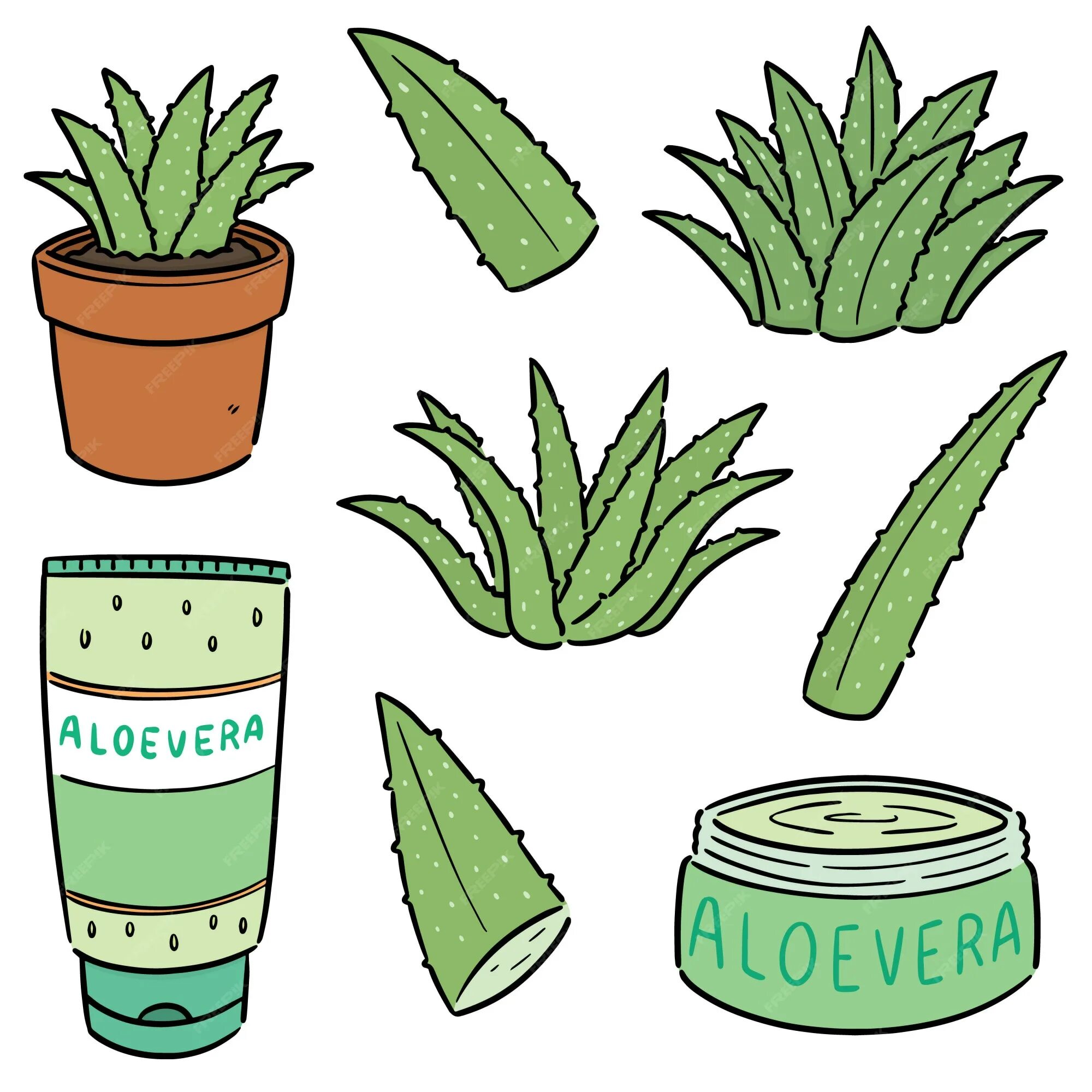 Алоэ доран блэк. Алоэ легкие. Растение в горшке минимализм. Алоэ для лечения легких. Алоэ легкие.