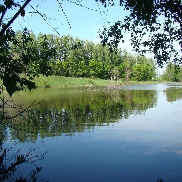 Рыбалка тула область
