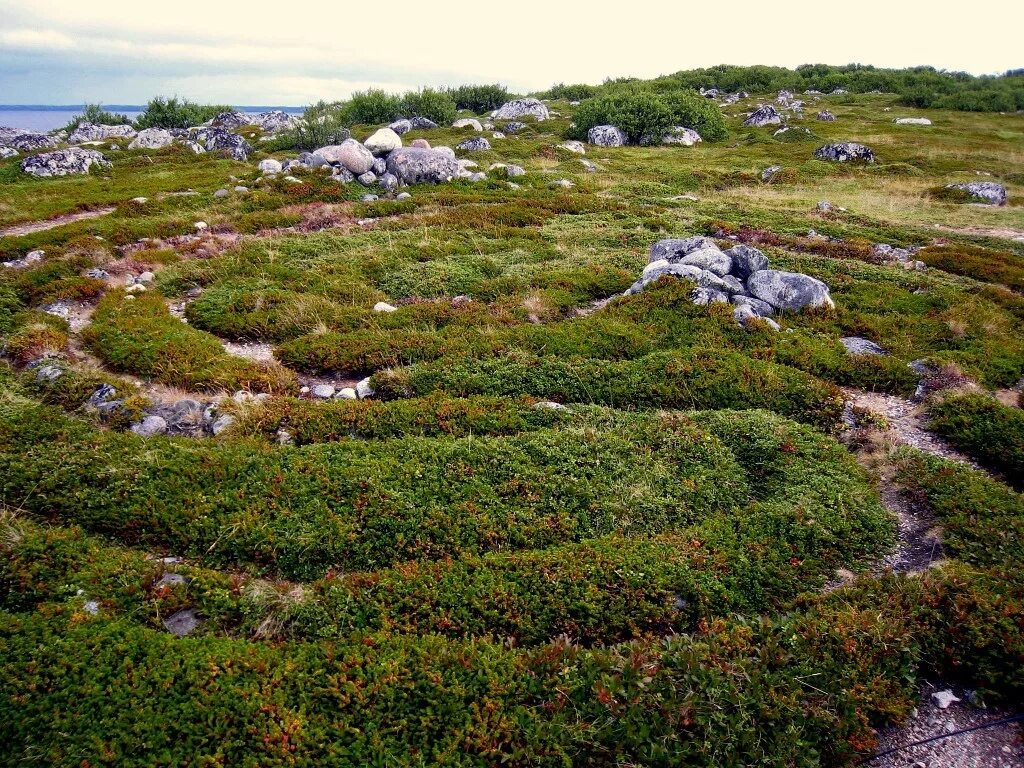 Соловецкие острова это крупнейший архипелаг. Соловки каменные лабиринты. лабиринт на острове анзер (соловецкий архипелаг).. каменный лабиринт на заяцком острове. лабиринты на соловецких островах.