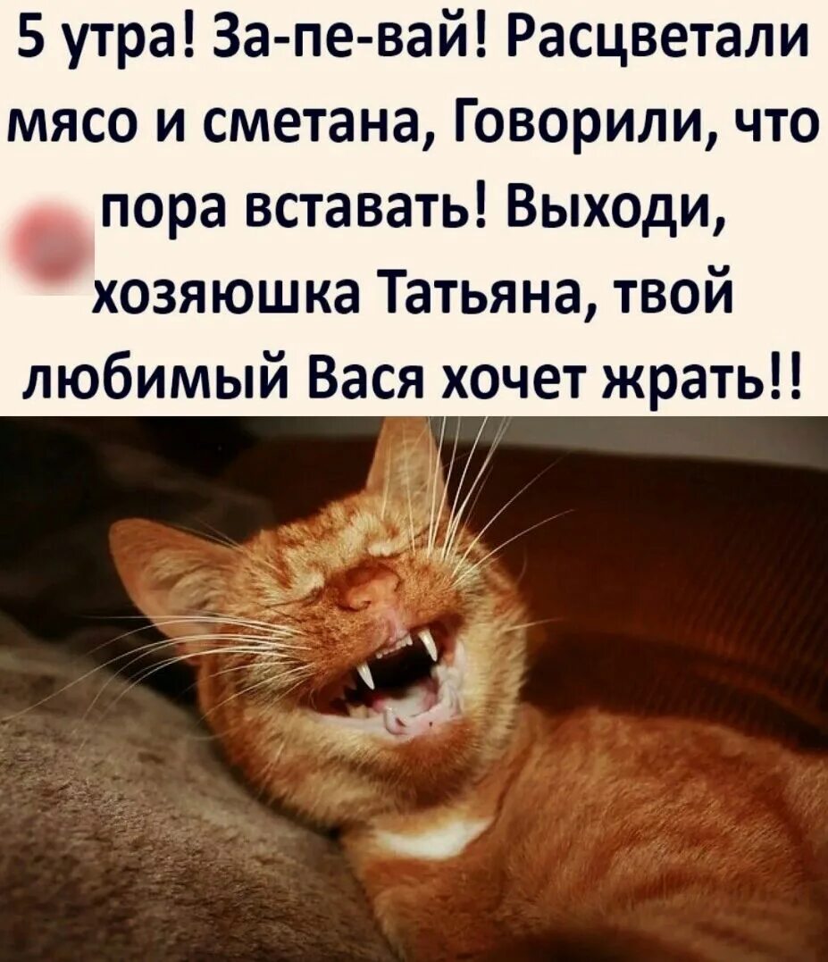 Тогда я встал и выйдя из дома