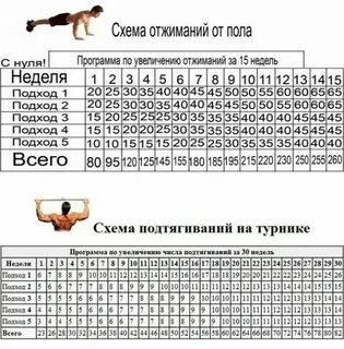 Сколько подтягиваешься и отжимаешься