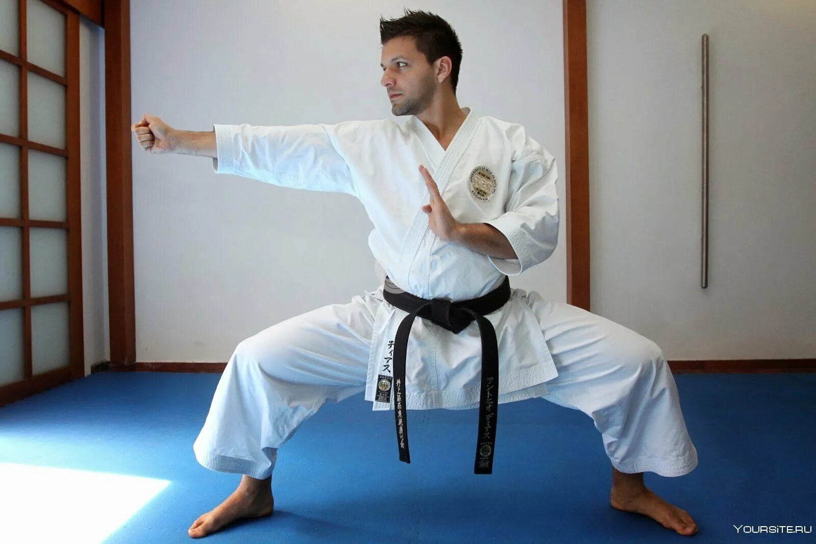 Каратэ обои. Джодан чудан гедан. Шенсяолон карате. Гедан барай в карате. Восточные единоборства заставка.