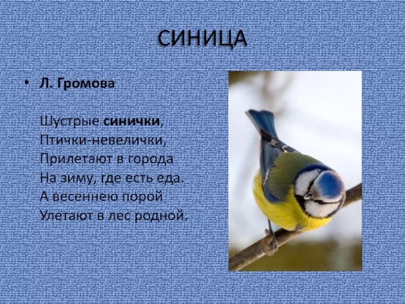 Синица списать