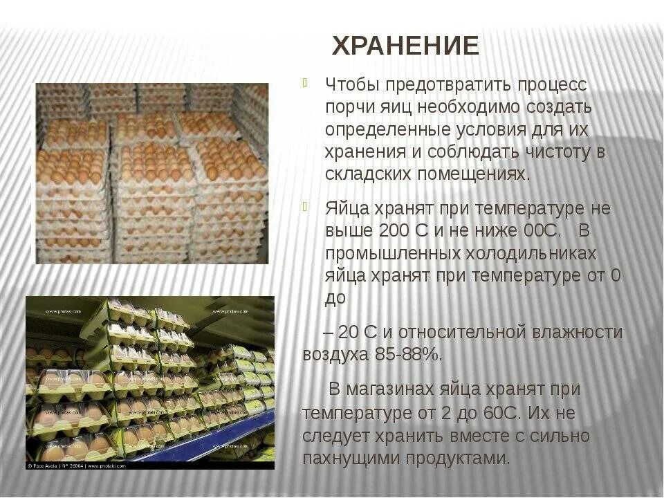 Срок хранения яиц перепелиных в холодильнике сырых. Условия хранения яиц. условия хранения яиц куриных. условия и сроки хранения яиц. яйцо хранение температурный.