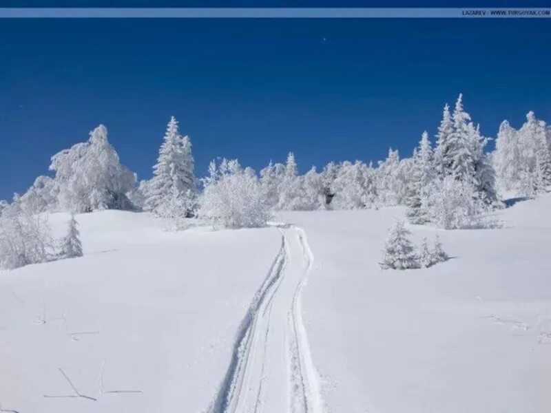 Снег покрыл все кругом