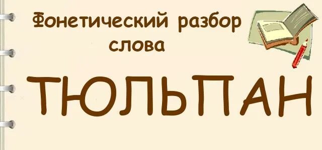 Фонетический разбор слова тюльпан. Тюльпан фонетический разбор. Фонетический разбор Слава тюльпан. Разбор слова тюльпан.