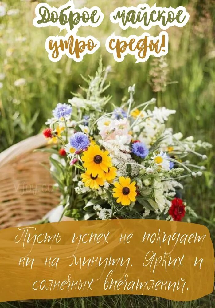 С добрым июльским утром пожелания. Летнее утро. Доброе летнее утро. Июльский букет. Доброе утро картинки июльские красивые необычные.